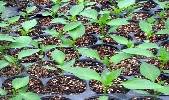 �ְ��ֽ������o��������|(zh��)����